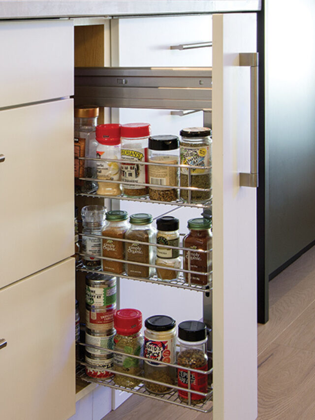 barn-cat-reno-blog-vertical-spice-drawer-1